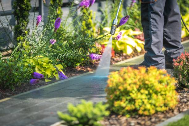 Best Winterizing Services  in Paonia, CO