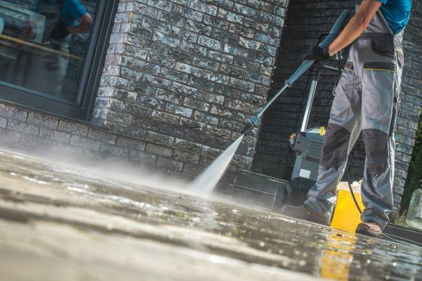 Best Gutter Cleaning  in Paonia, CO