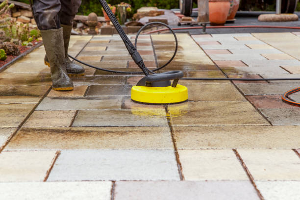 Best Animal Enclosure Cleaning  in Paonia, CO