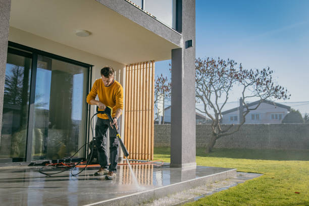 Best Solar Panel Cleaning  in Paonia, CO