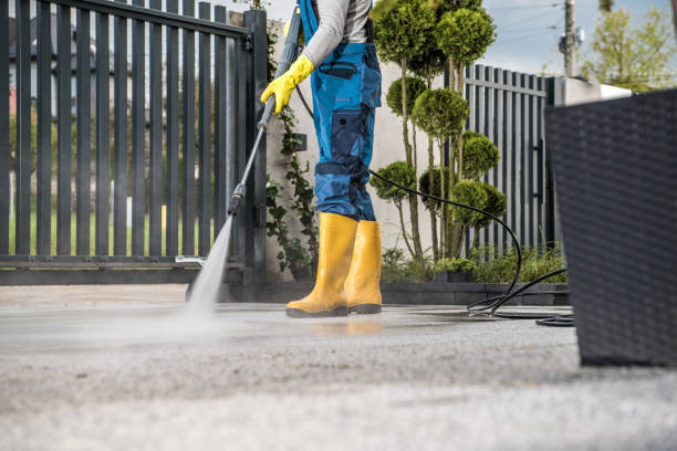 Best Roof Washing  in Paonia, CO