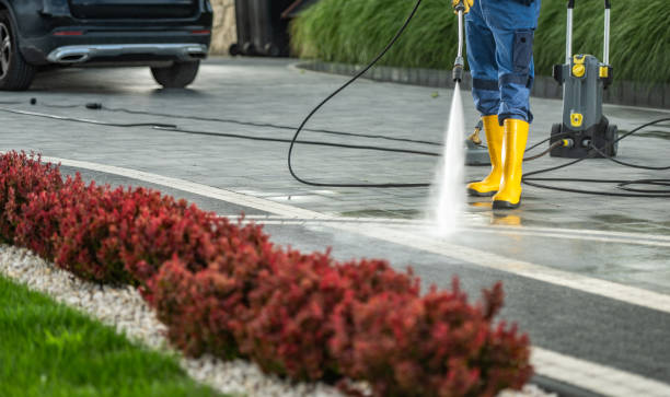 Professional Pressure Washing Services in Paonia, CO