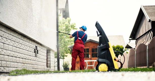 Animal Enclosure Cleaning in Paonia, CO